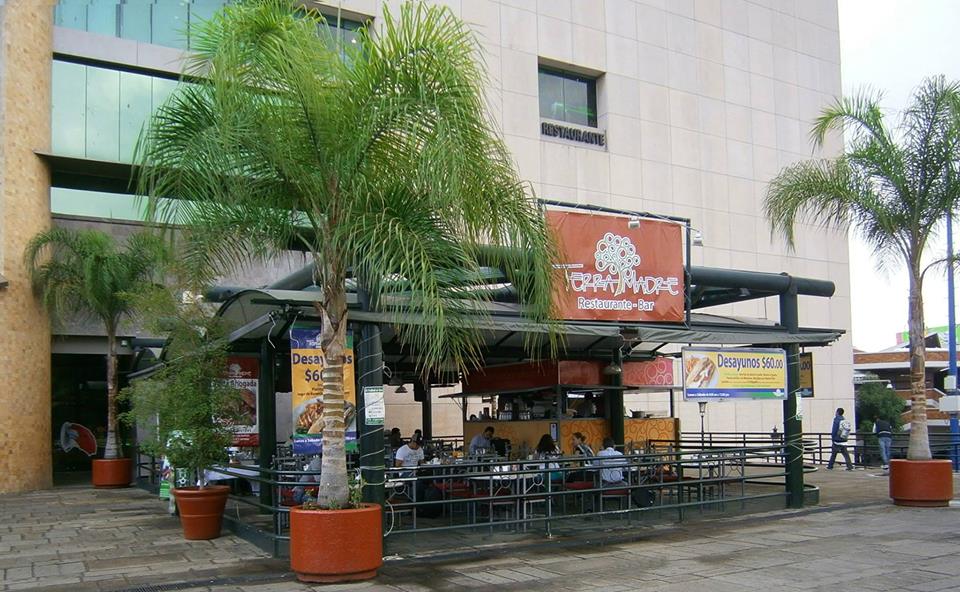 Restaurante Terra Madre