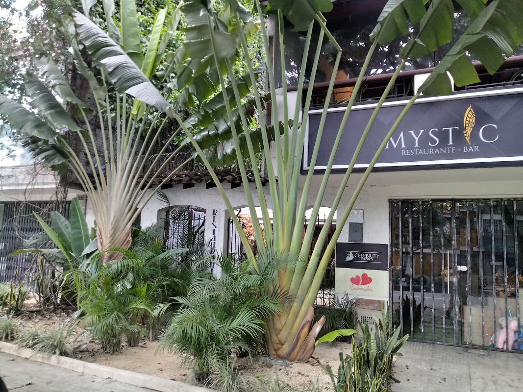 Mystic Restaurante