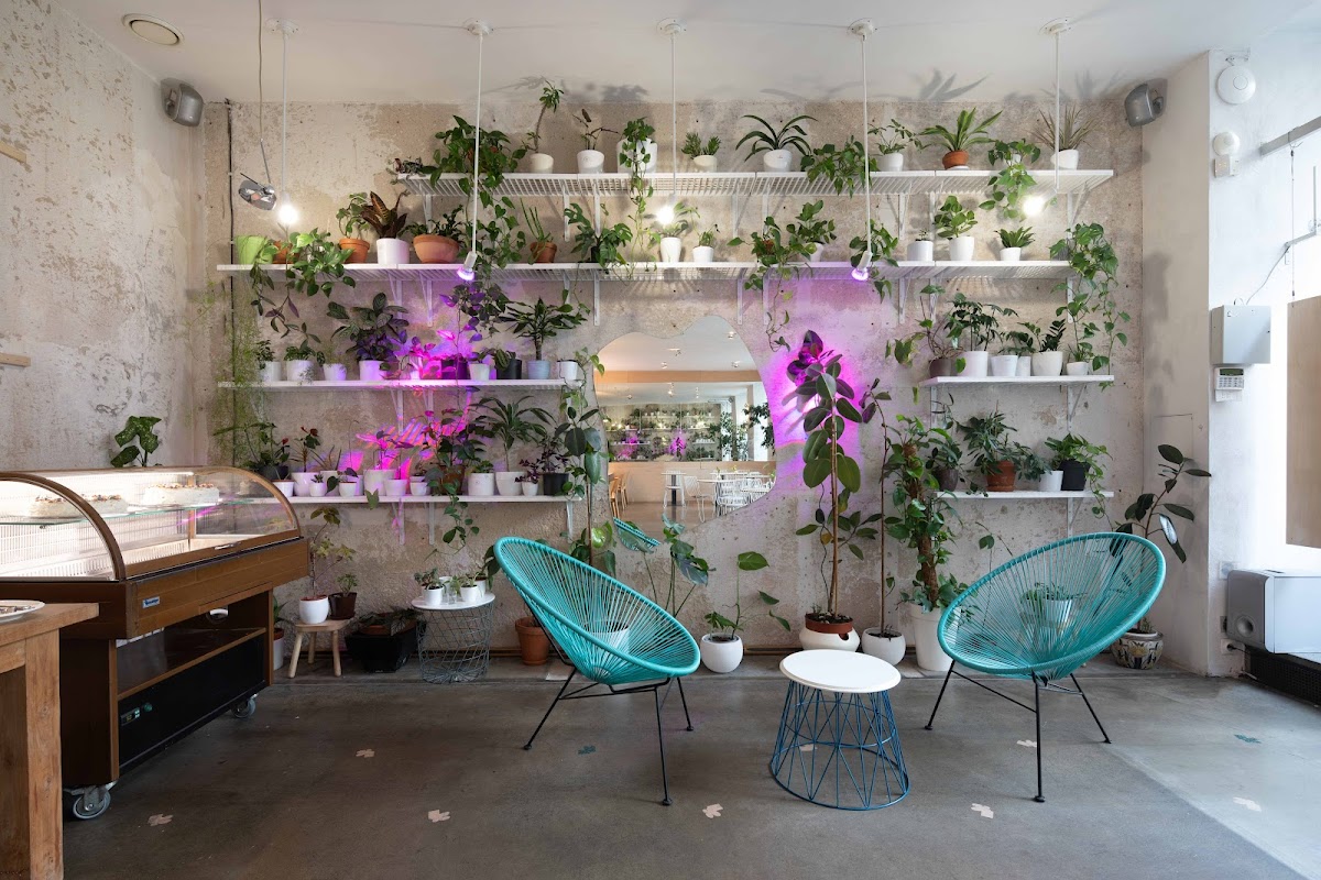 Mistral café